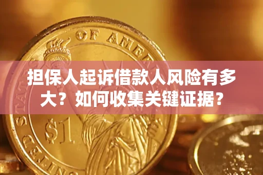 武汉担保人起诉借款人风险有多大？如何收集关键证据？