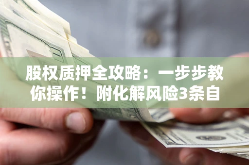 武汉股权质押全攻略：一步步教你操作！附化解风险3条自救法则