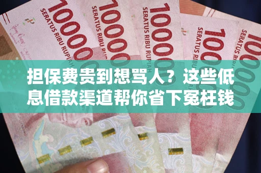 武汉担保费贵到想骂人？这些低息借款渠道帮你省下冤枉钱