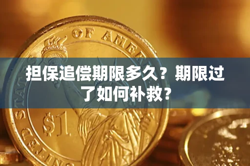 武汉担保追偿期限多久？期限过了如何补救？
