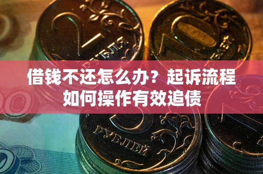 武汉借钱不还怎么办？起诉流程如何操作有效追债