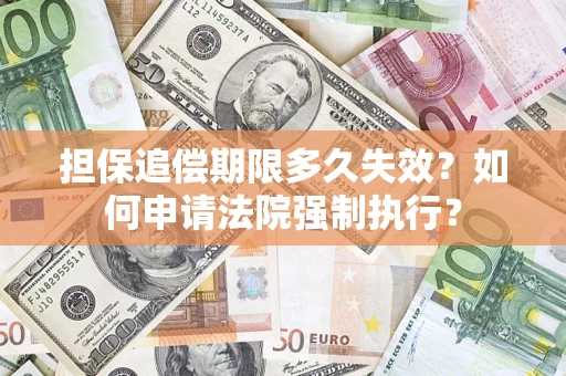 武汉担保追偿期限多久失效？如何申请法院强制执行？