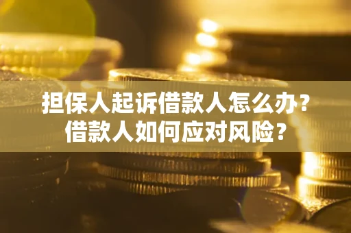 武汉担保人起诉借款人怎么办？借款人如何应对风险？