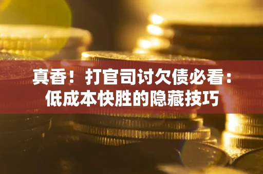 武汉真香！打官司讨欠债必看：低成本快胜的隐藏技巧
