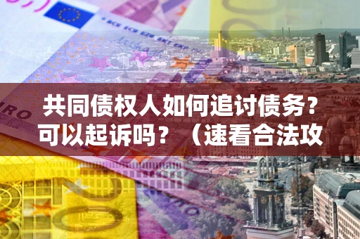 武汉共同债权人如何追讨债务？可以起诉吗？（速看合法攻略）