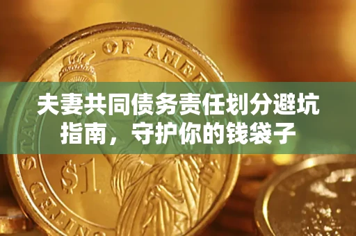 武汉夫妻共同债务责任划分避坑指南，守护你的钱袋子