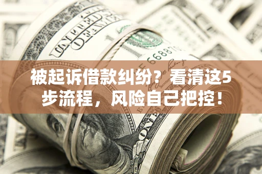 武汉被起诉借款纠纷？看清这5步流程，风险自己把控！