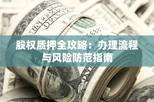 武汉股权质押全攻略：办理流程与风险防范指南